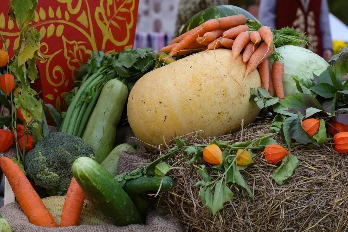 Выборжан и гостей города пригласили проводить осень со вкусом