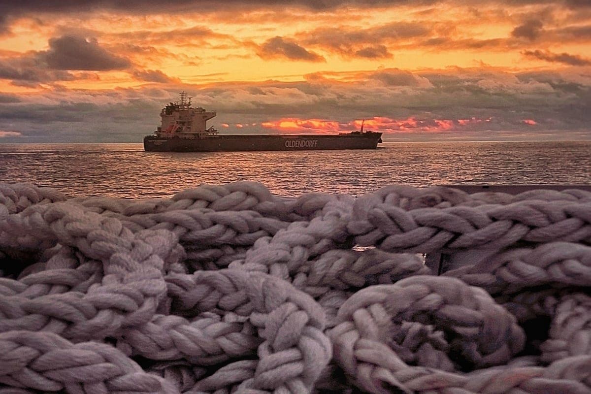 Petrozavodsk diver Dmitry Belenikhin found a terrible find at the bottom of the Baltic