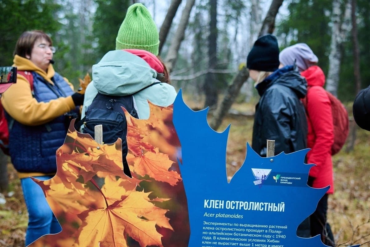 На экотропах ботанического сада в Кировске появились стенды о северных растениях