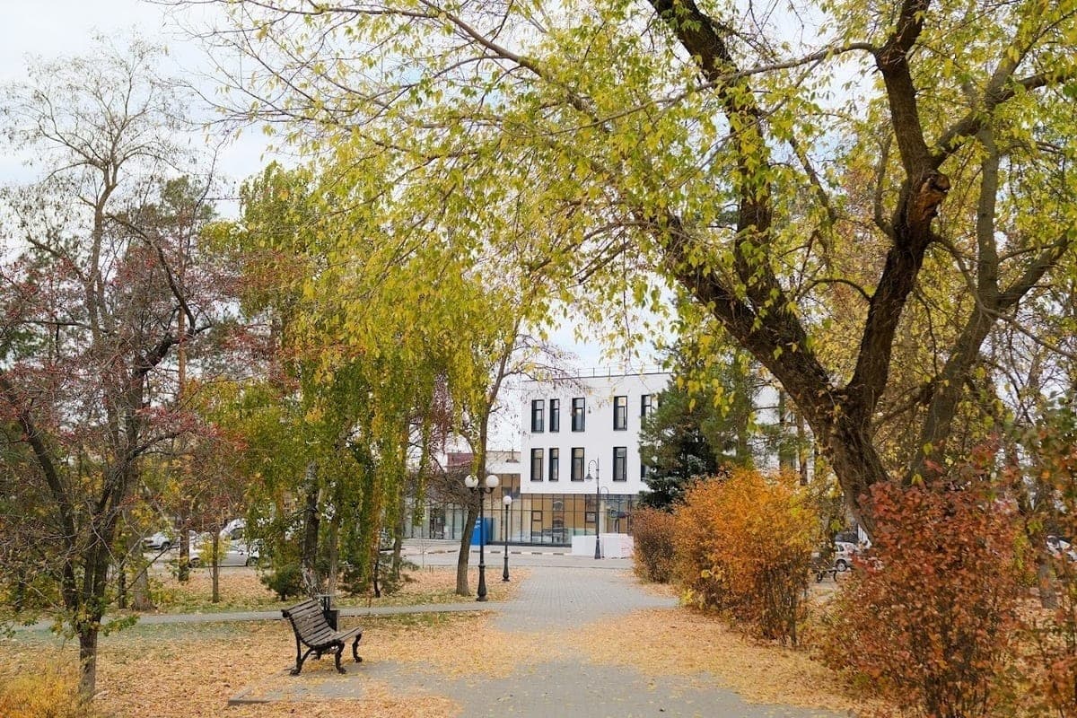 Volgograd communal workers had to intervene in the “games” of a child with a tree