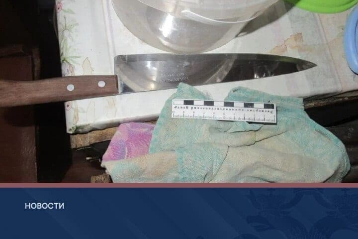 В Нижегородской области 68-летний мужчина убил сына 5 ударами ножа