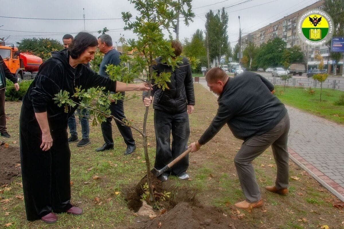 Alley of Fathers in Melitopol replenished with new trees