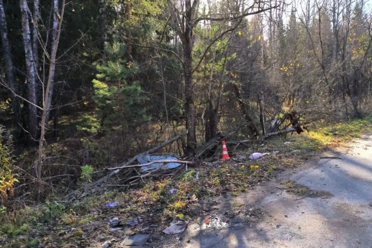 On the Oryol highway, the car flew into a tree