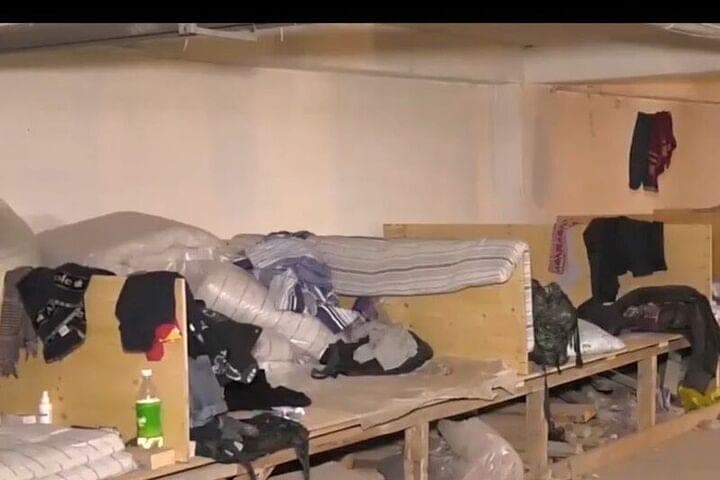 What to do if there are uninvited neighbors in the basement