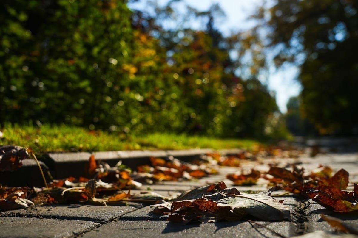 Volgograd explained what factors can cause headaches