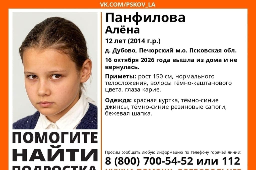 In the Pechora district of the Pskov region are looking for a 12-year-old girl