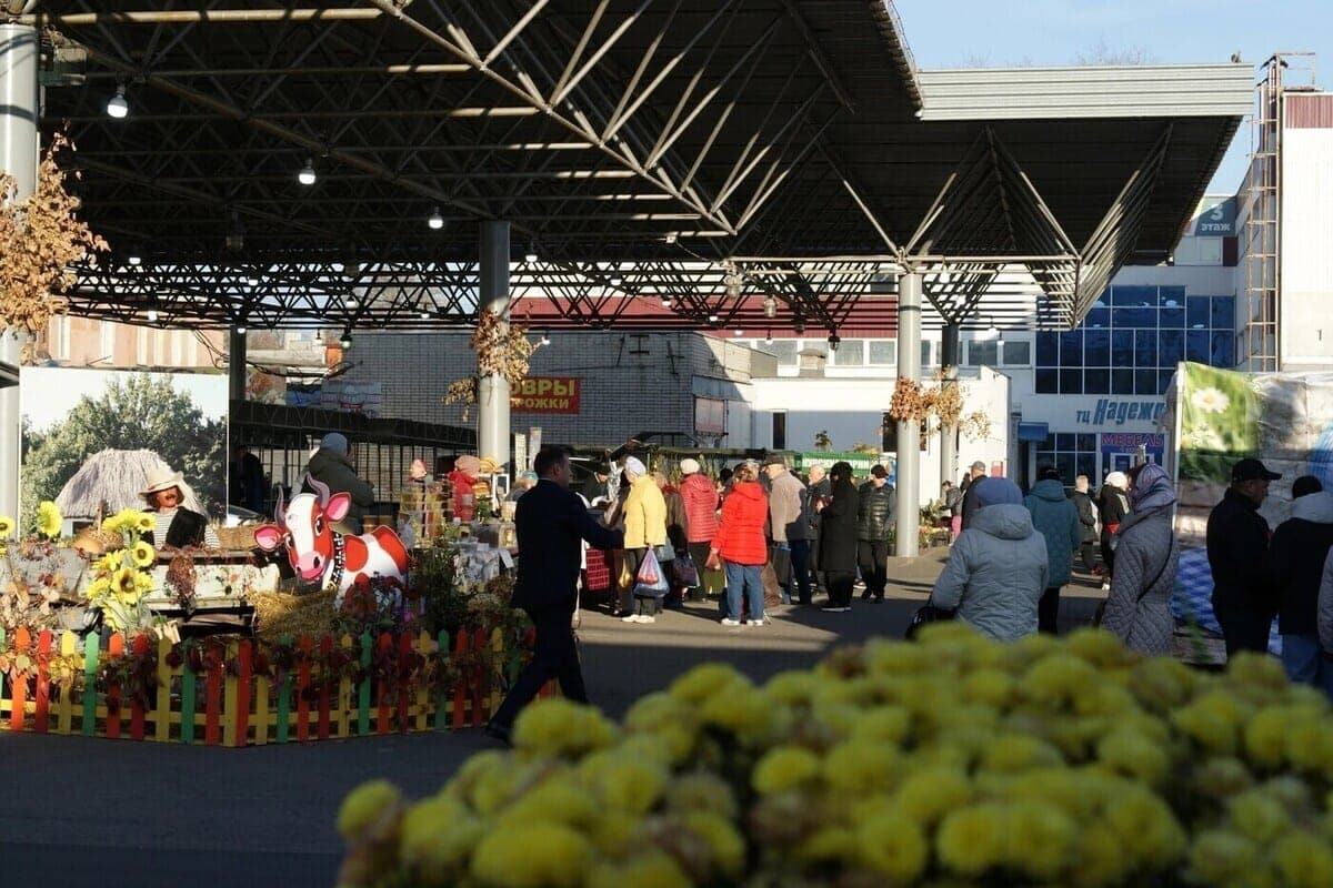 In Kursk completed the cycle of fairs “Autumn – 2026”