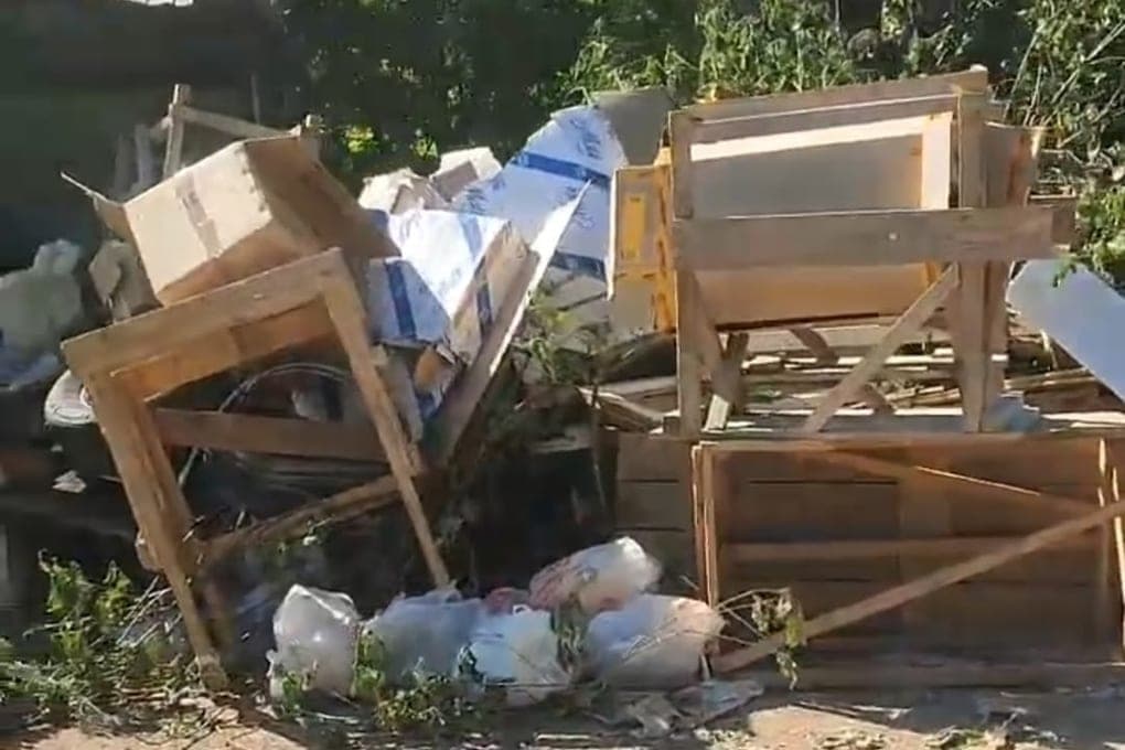 В Боровичах возбудили дела по видео против автовладельцев за сброс мусора