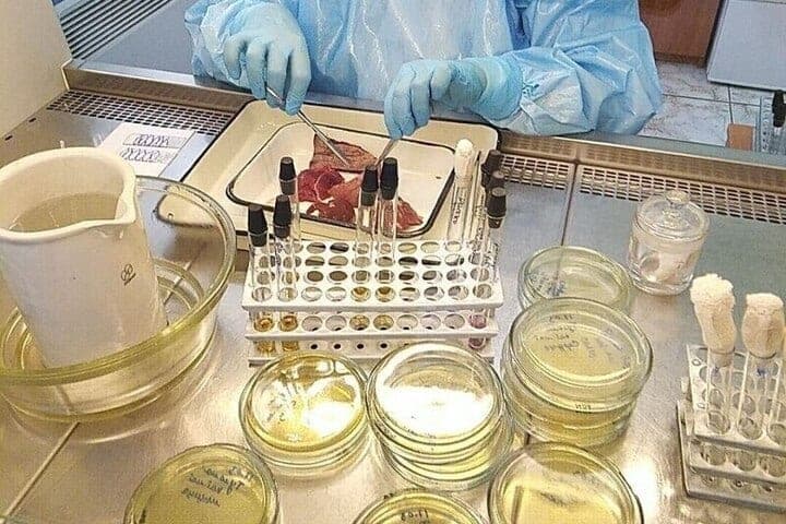 Dans la région de Murmansk pour le trimestre n'a pas trouvé un seul cas de maladies dangereuses chez les animaux