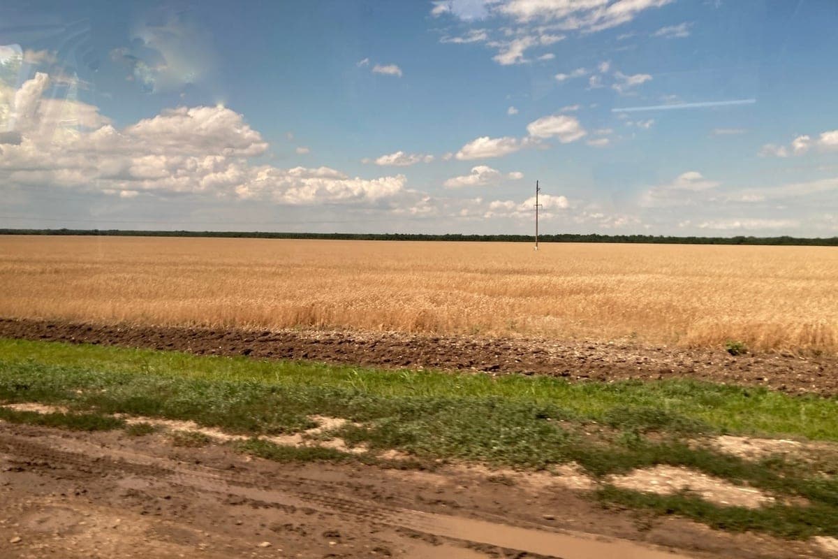 In the Saratov region completed almost the entire harvesting campaign