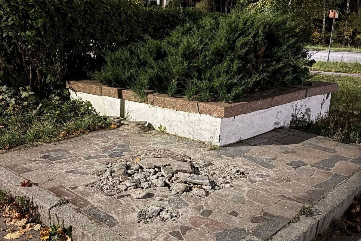 В рязанском парке Советско-Польского братства по оружию убрали миномёт