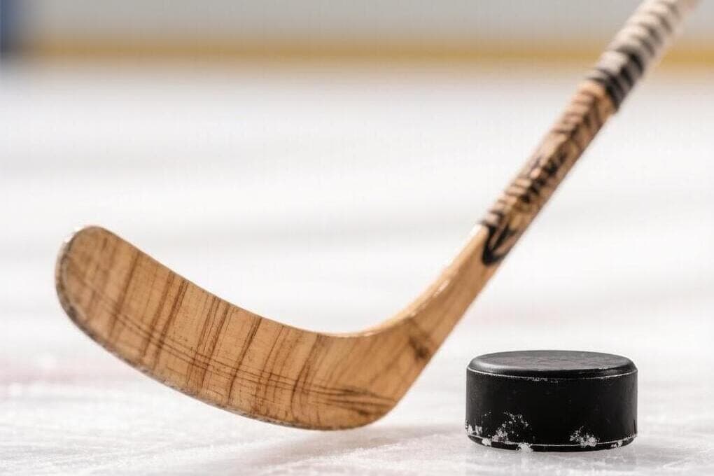 Belgorod hockey players won all three matches of the championship of the Central Federal District