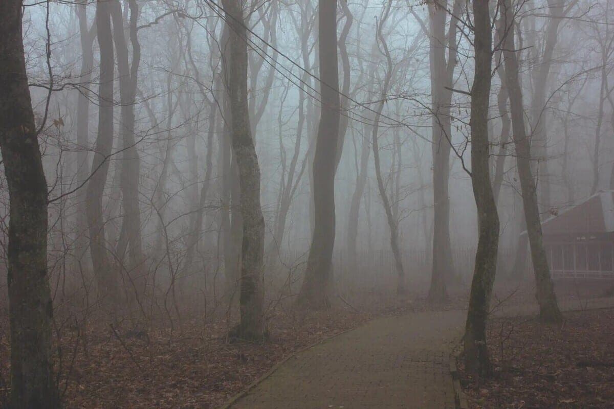 In the Leningrad region extended the “yellow” level of weather danger due to morning fog