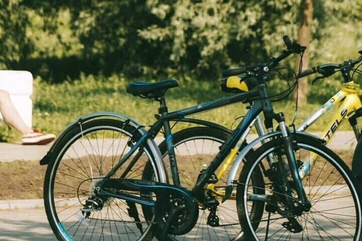 Kovdorets estimated 2 years of his life in the wild at 8 thousand rubles and risked stealing a bicycle