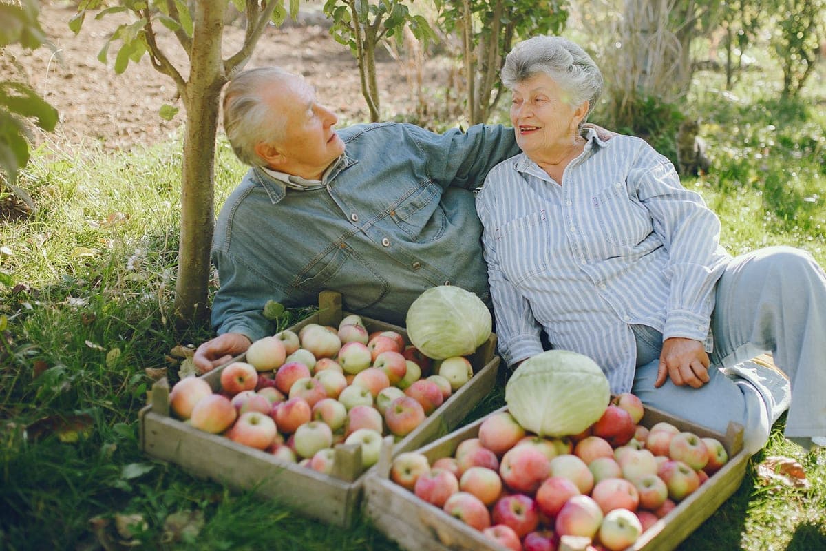 1783 residents of Tomsk region receive rural pension supplement
