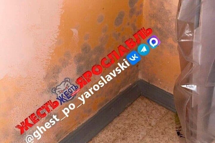 In Yaroslavl, the student hostel was covered with black mold