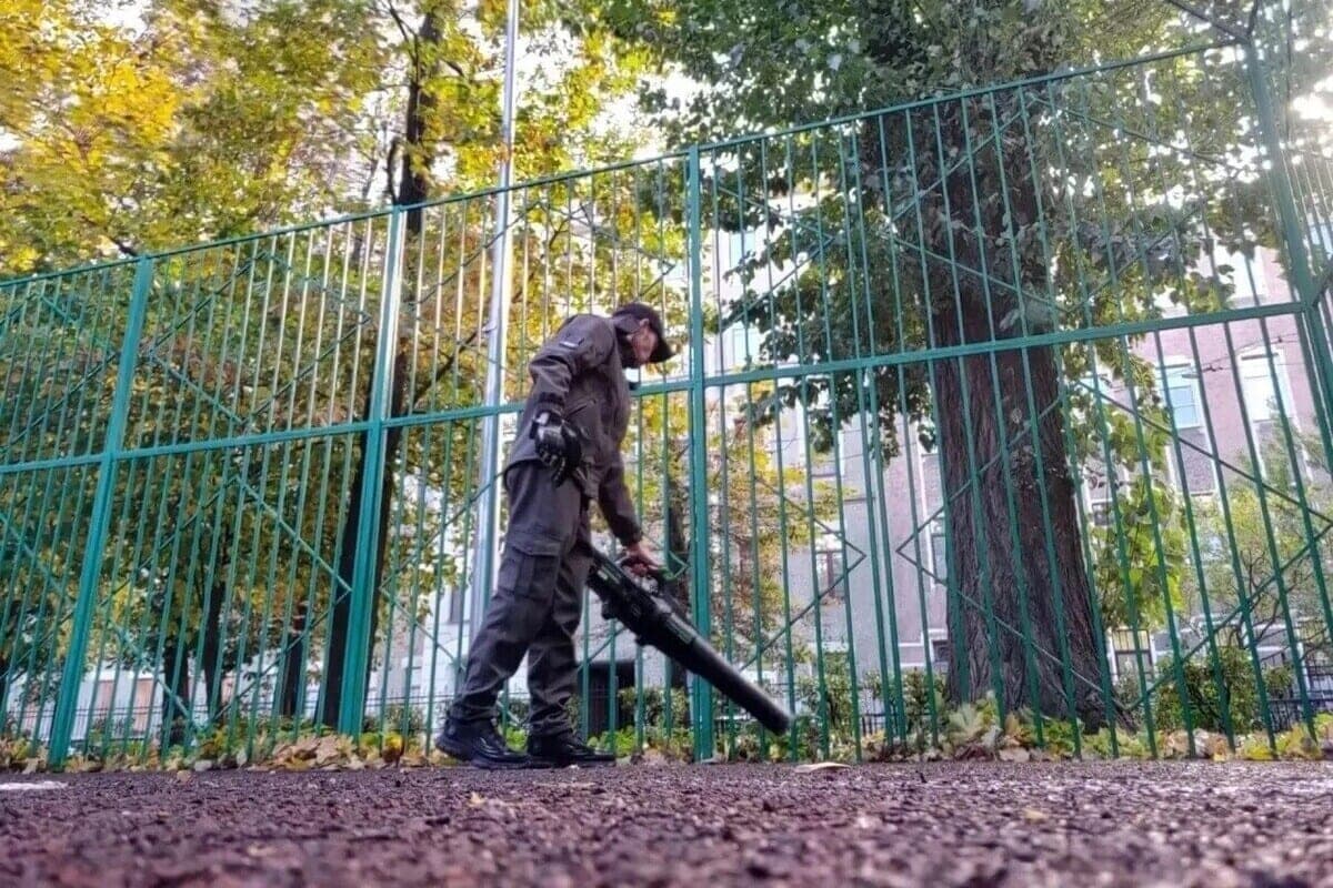 Petrograd district arranged a large autumn cleaning before the cold