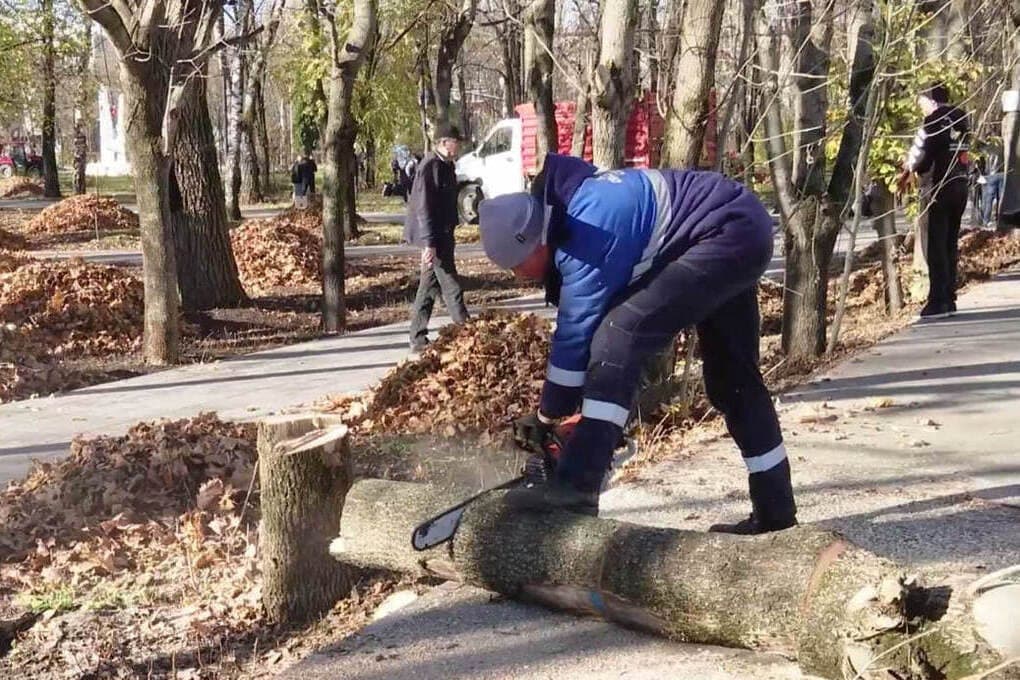 В Ельце подвели итоги сезона общегородских субботников