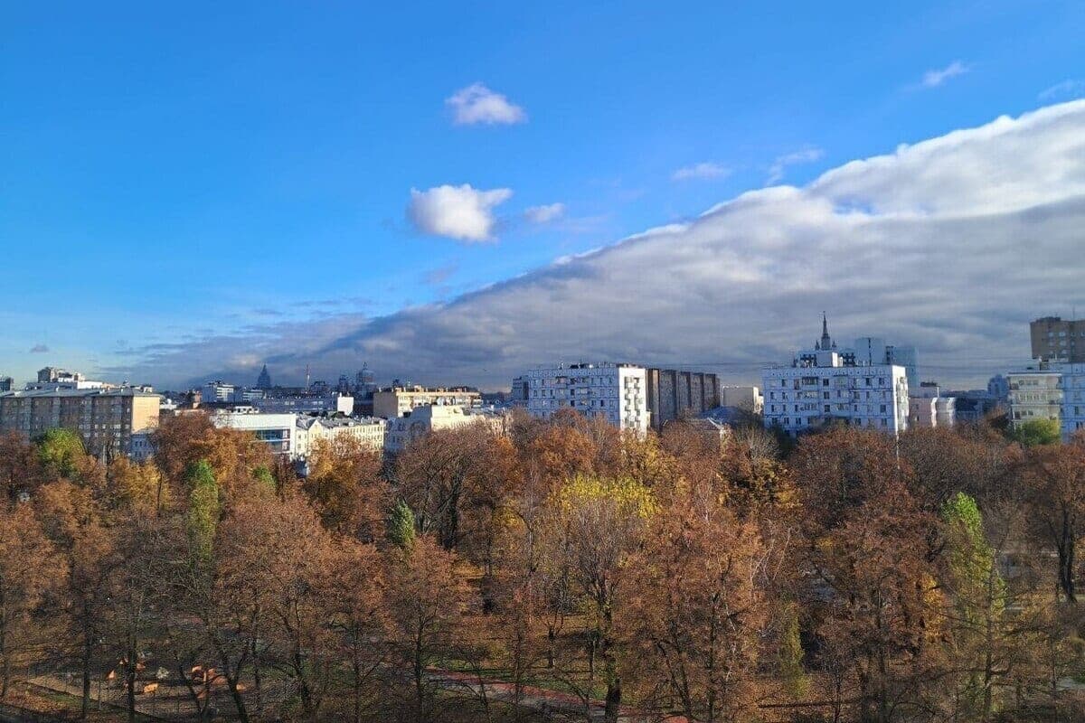 Residents of Moscow and the region told about the weather in the coming week