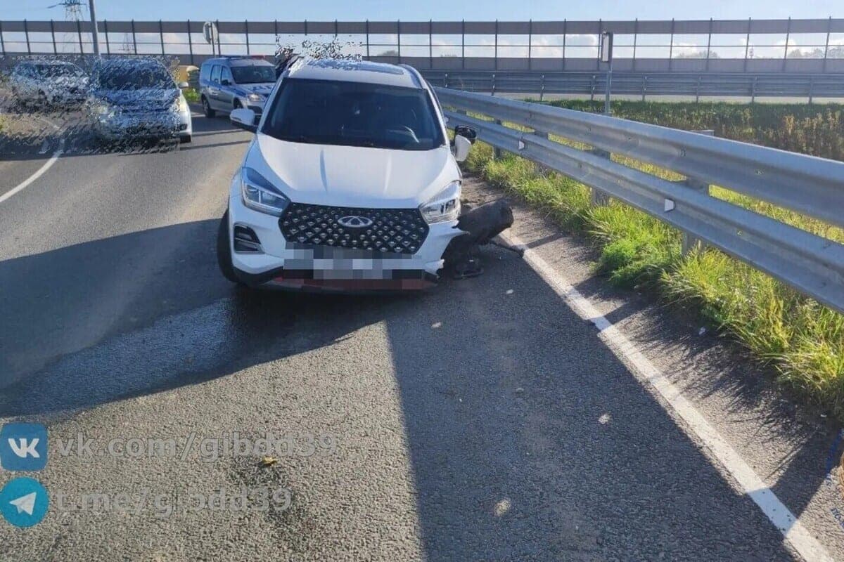 На Северном обходе Калининграда иномарка врезалась в препятствие