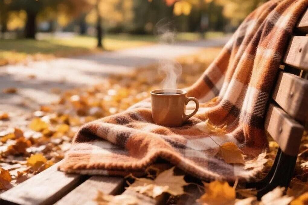 In Ugra on October 11, rain, wind and high humidity are waiting