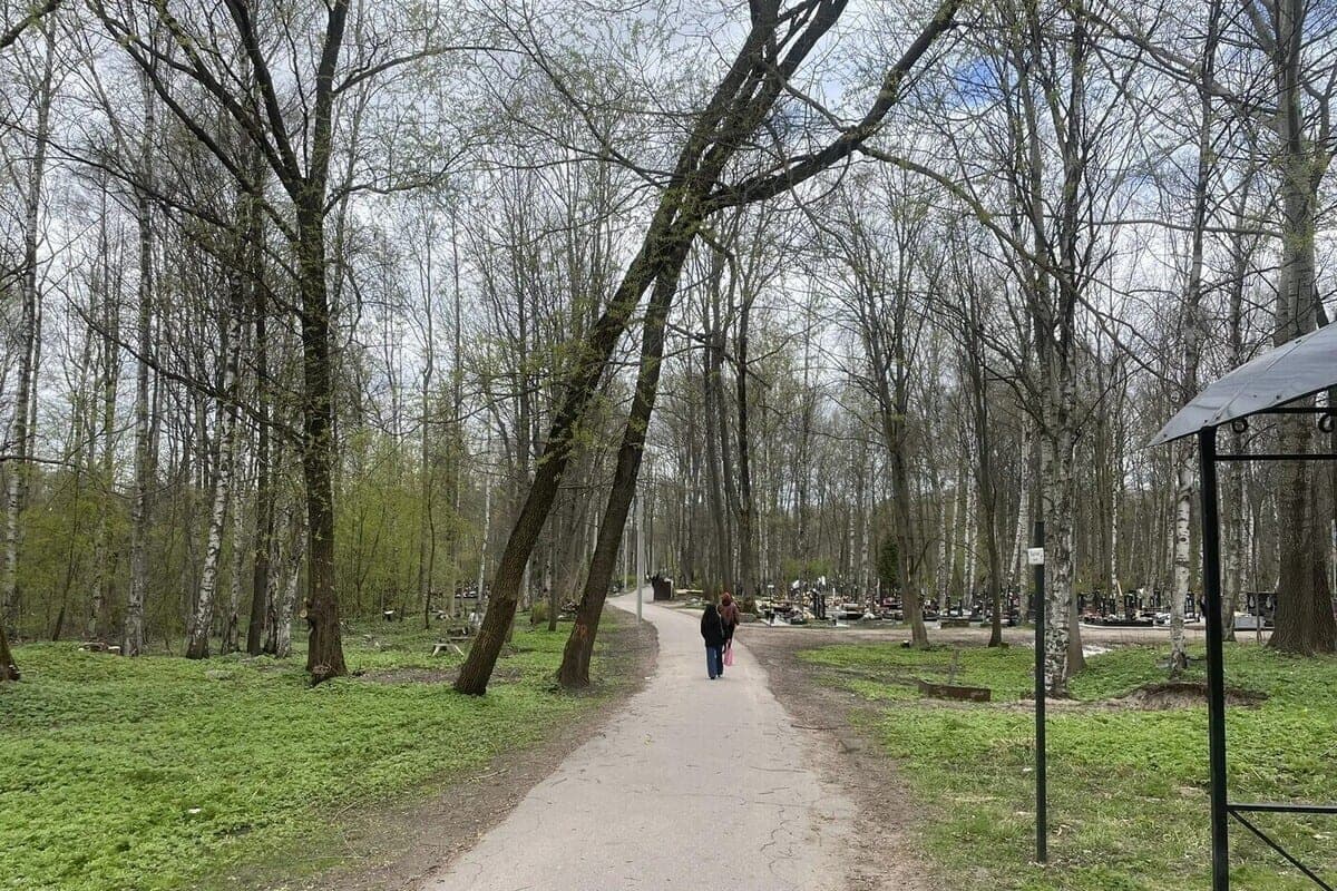 Smolensk cemetery received a warning because of the attack of rats-occupants