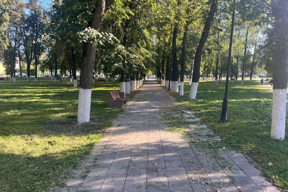 В Орловской области снизилась активность клещей