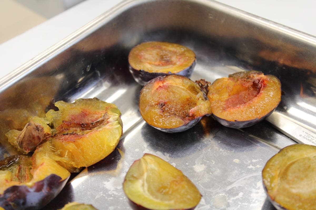 Altai experts found a dangerous pest in the Kazakh plum