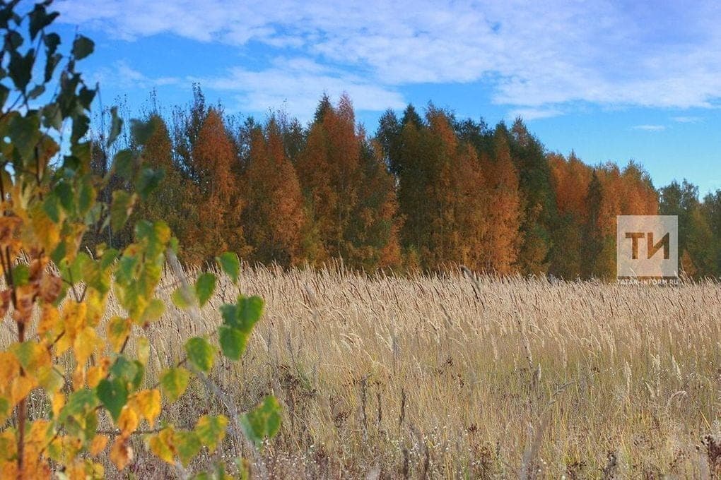Rains come to Tatarstan with gusty wind
