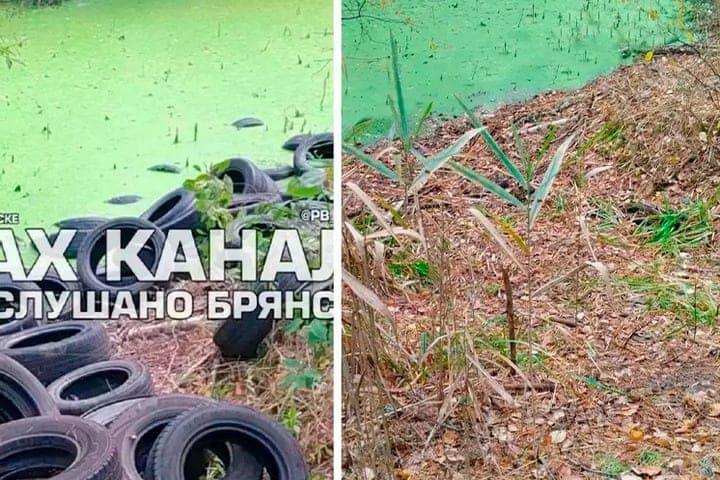 Брянская прокуратура добилась ликвидации свалки в Снежетьском участковом лесничестве