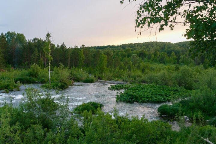 In the Novosibirsk region created four protection zones around natural monuments