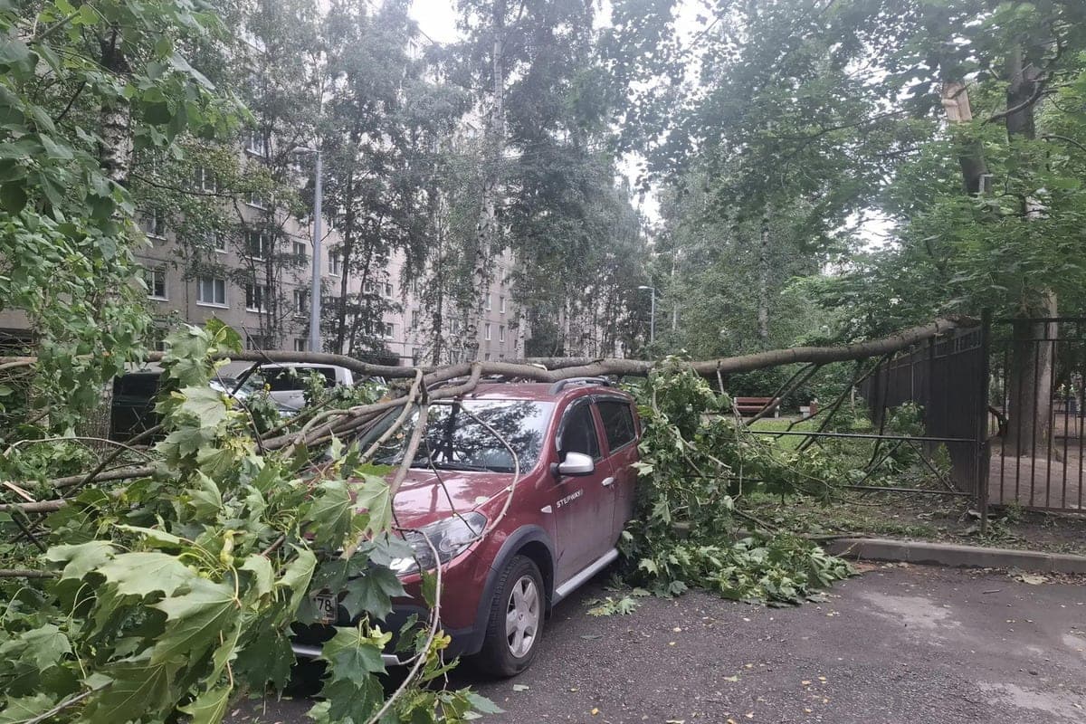 In Chudovo, the court ordered utility workers to compensate for the damage for the fall of a tree on the car