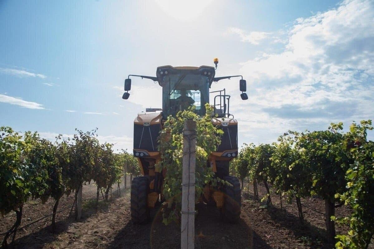 Agrarians of the Crimea prepared more than 227 thousand hectares for the harvest of 2027