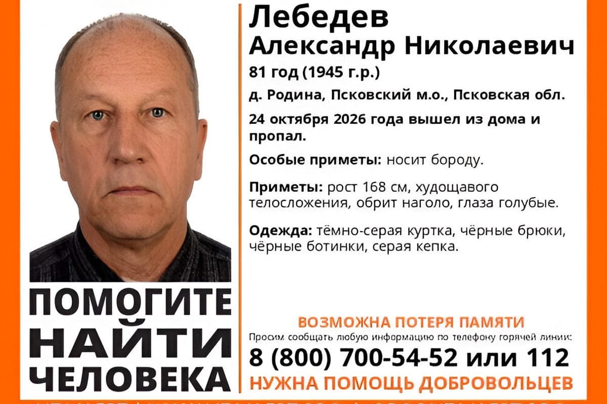 В Псковском районе ищут 81-летнего мужчину: Александр Лебедев пропал два дня назад