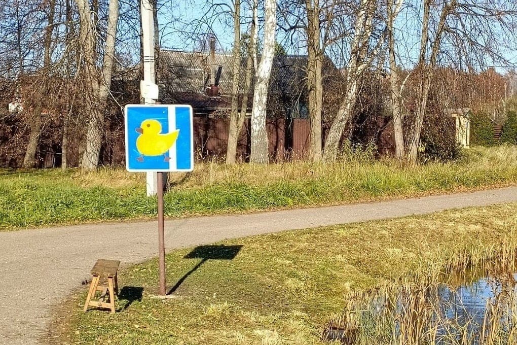 In the Yaroslavl region installed a road sign “Caution, ducks”