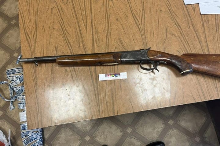 In the Zemetchinsky district, a local resident found an illegally converted gun