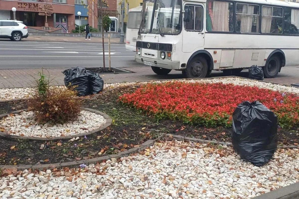 In Kursk began to prepare city flower beds for the arrival of the first frosts