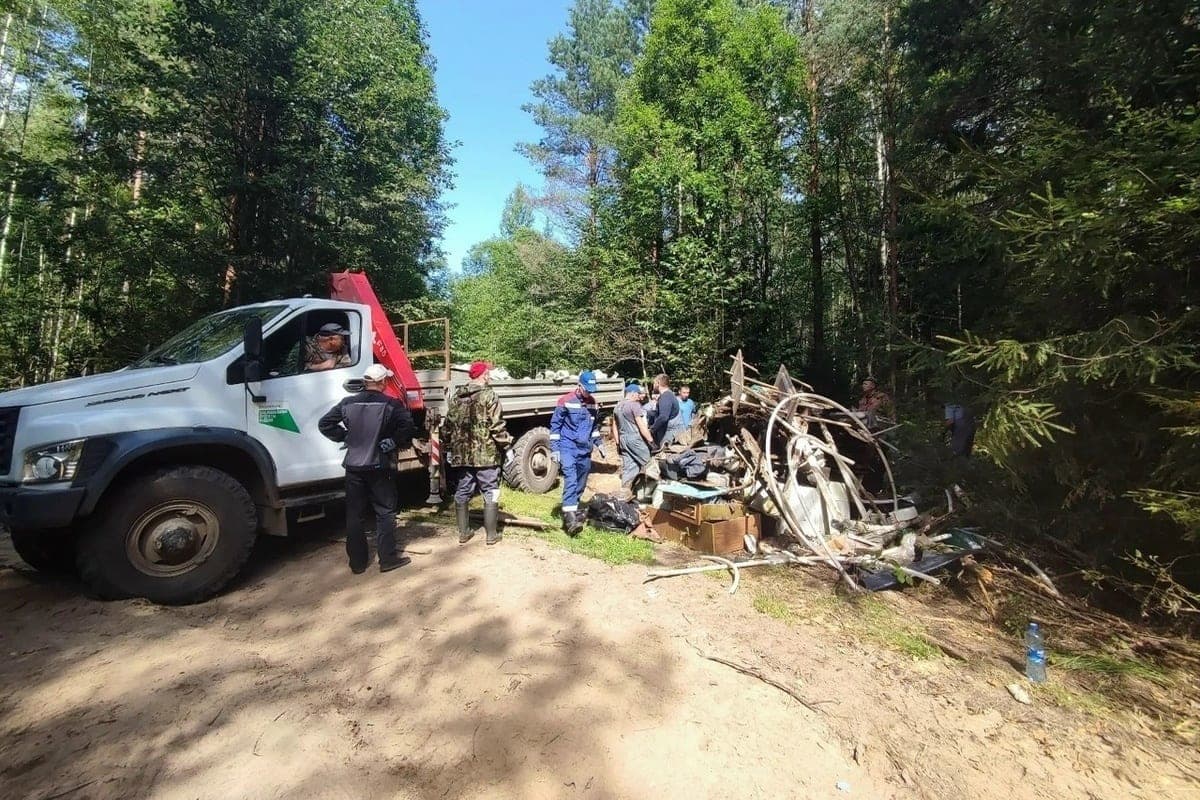 Из новгородских лесов вывезли почти 500 кубометров мусора