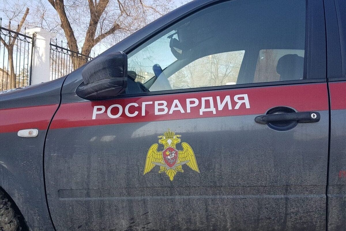 Пьяные мужчины пытались обокрасть школу в Краснодарском крае