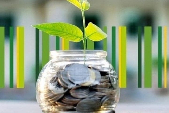 Tax tricks cost Kostroma timber manufacturer in 195 million rubles