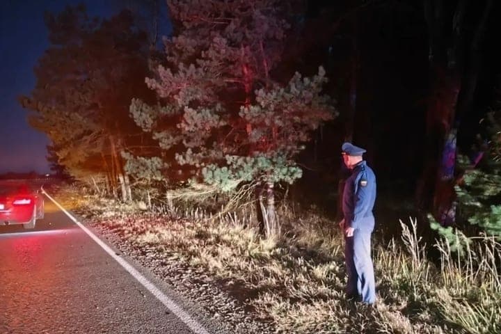 Fatal accident in the Kaluga region turned into a criminal case