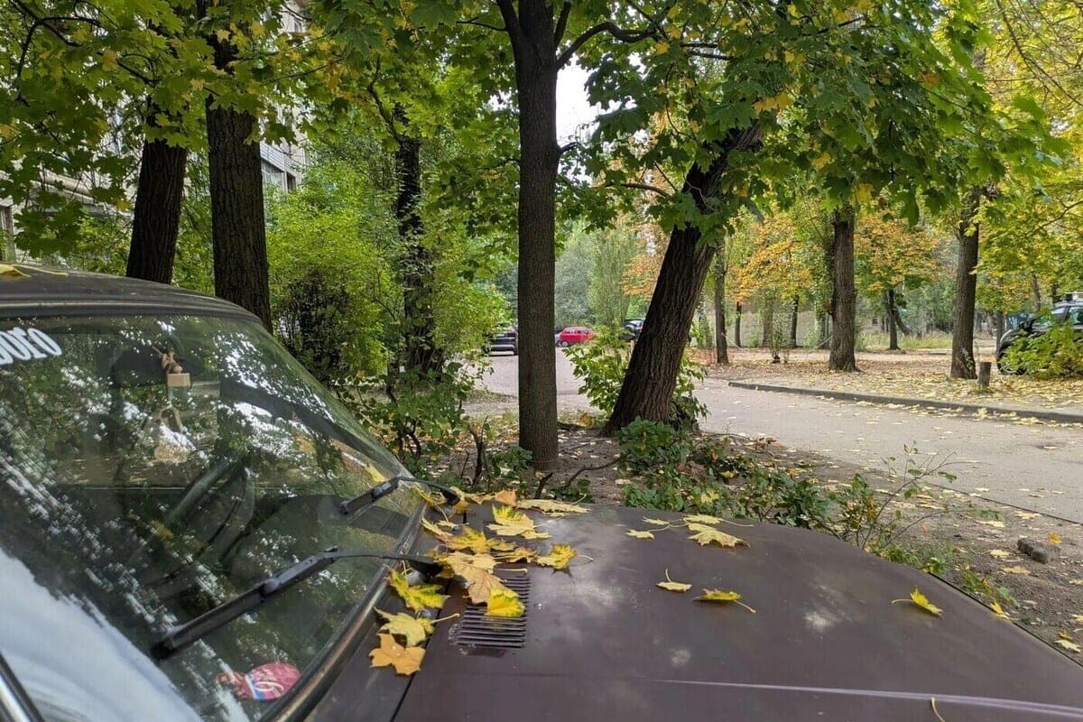 In Voronezh on Wednesday it will get colder and it will rain