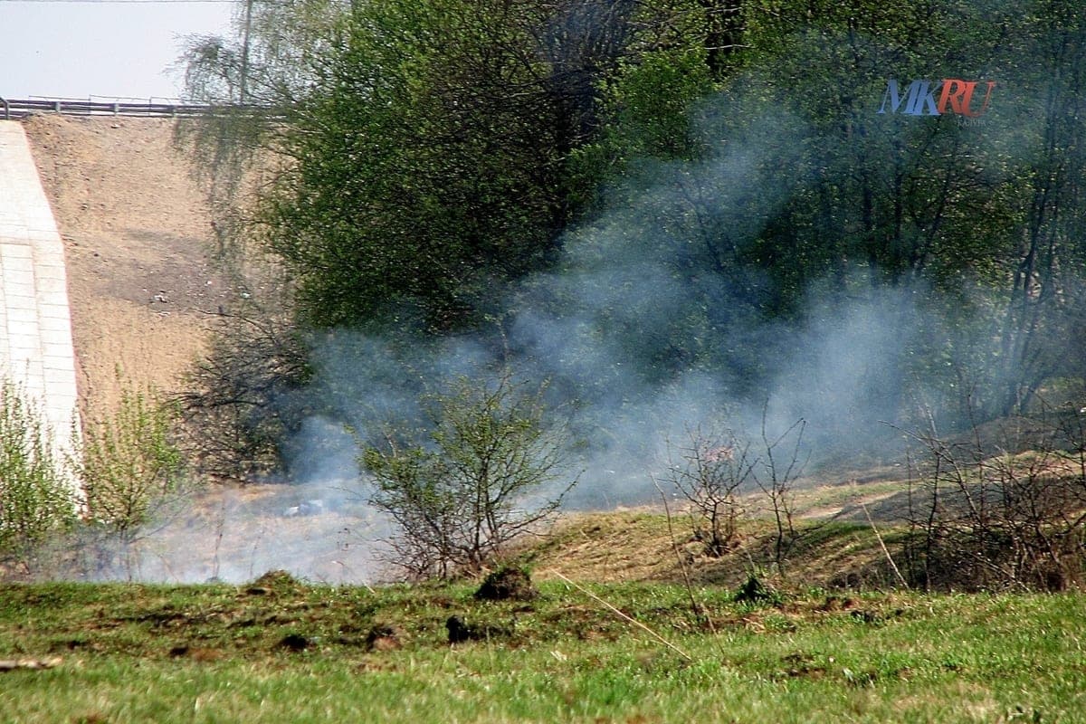 In the forests of the Kaluga region noticed six thermopoints