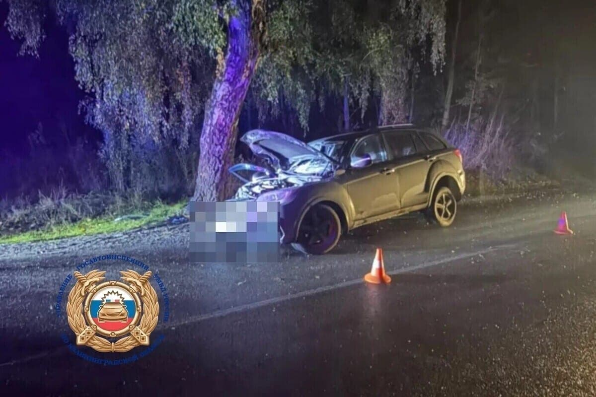 On the road near Svetlyny foreign car “met” with a tree