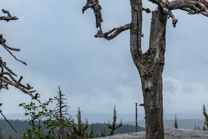 Karelia recognized as the most mystical region of Russia