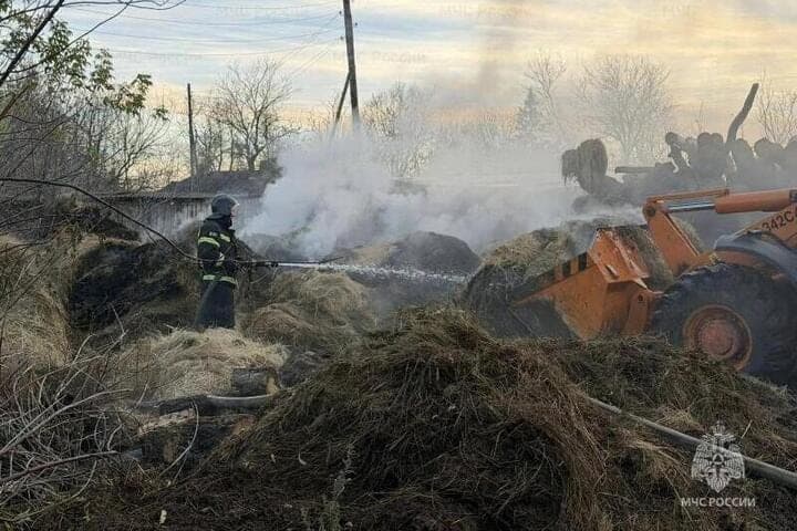 В Орловской области пожарные тушили стог сена
