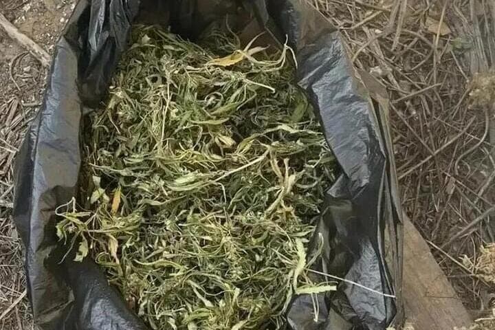 Kalmykia police found a local resident marijuana and a net with fish