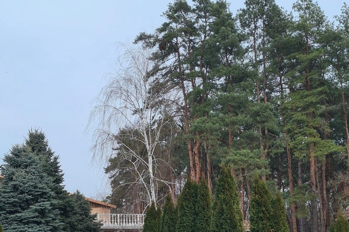 In Syktyvkar on October 11, rain and cooling are expected