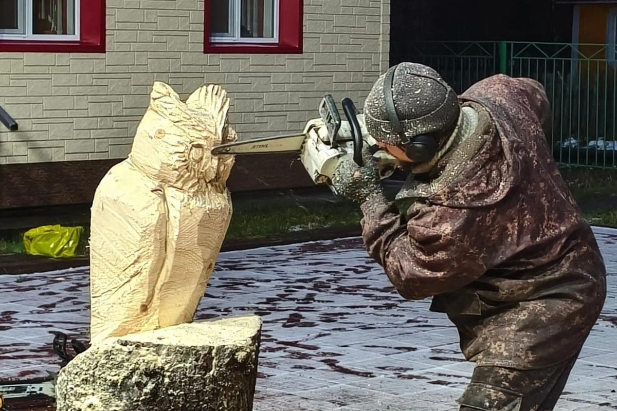 В Коткино установили десять уникальных объектов для «Тропы здоровья»