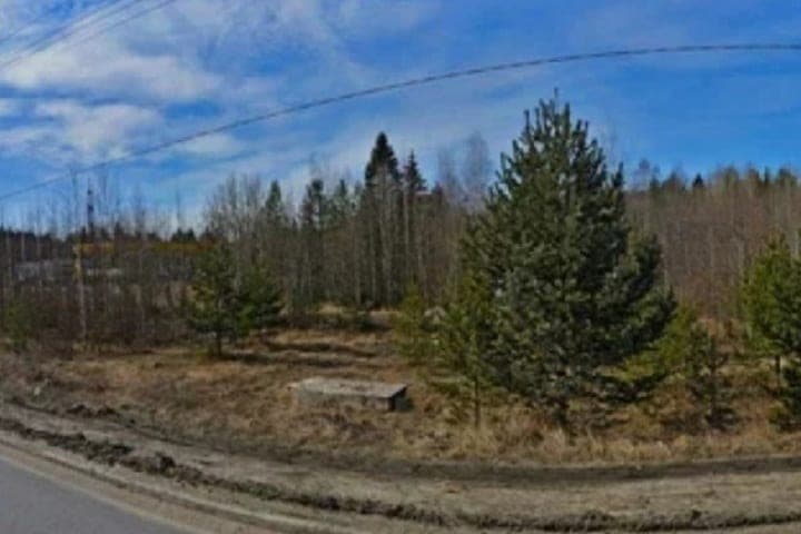IC de la Russie a pris le contrôle de la situation avec une décharge illégale dans le parc Petrozavodsk